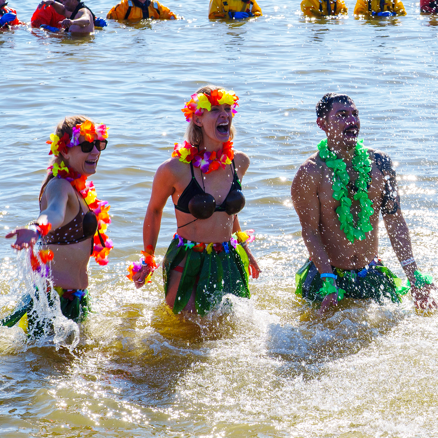 Polar Bear Plunge